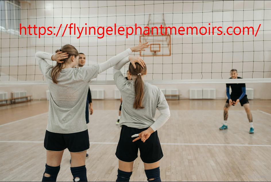 The Flying Elephant Memoirs Of An Olympic Champion Kindle Edition Alexander Savin