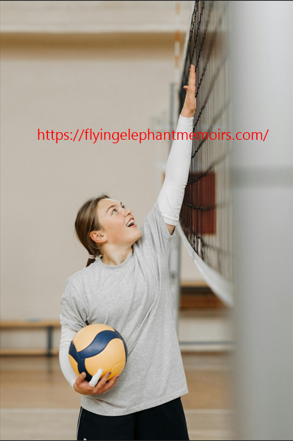 The Flying Elephant Memoirs Of An Olympic Champion Kindle Edition Alexander Savin