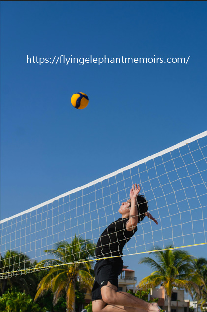 The Flying Elephant Memoirs Of An Olympic Champion Kindle Edition Alexander Savin