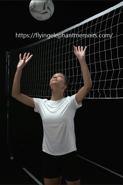 The Flying Elephant Memoirs Of An Olympic Champion Kindle Edition Alexander Savin