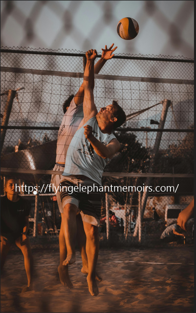 The Flying Elephant Memoirs Of An Olympic Champion Kindle Edition Alexander Savin